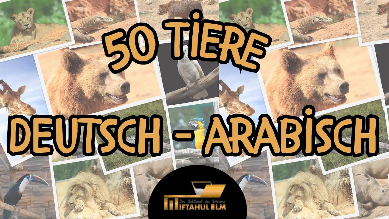 50 Tiere auf Arabisch | Tiernamen Tierlaute lernen