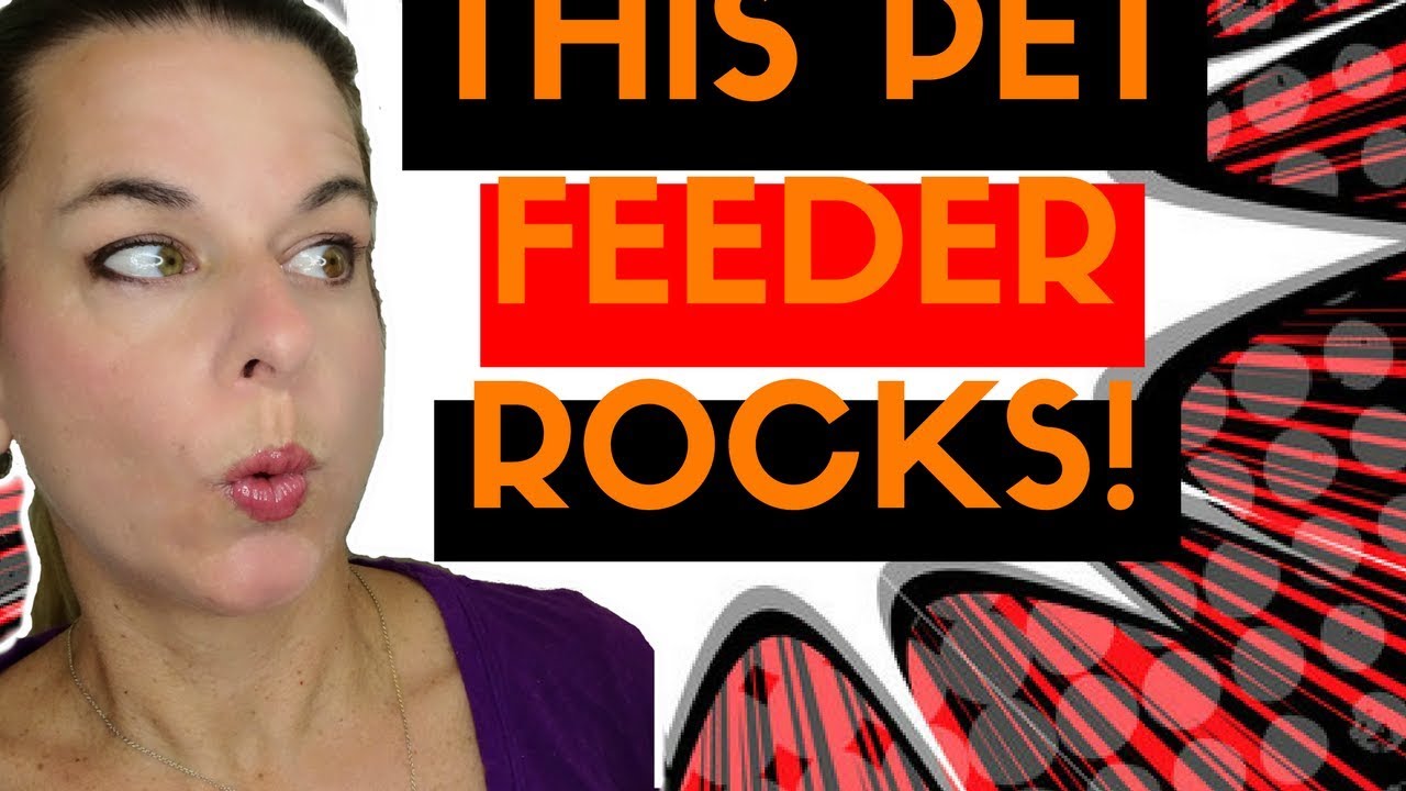 feed and go automatic feeder