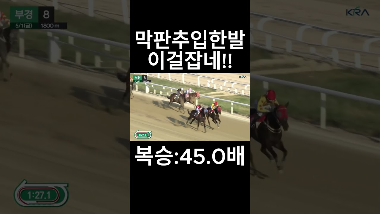 막판추입한발  #경마  #경마예상  #경마방송  #경마예상방송  #서울경마  #금요경마  #토요경마  #일요경마 #경마장