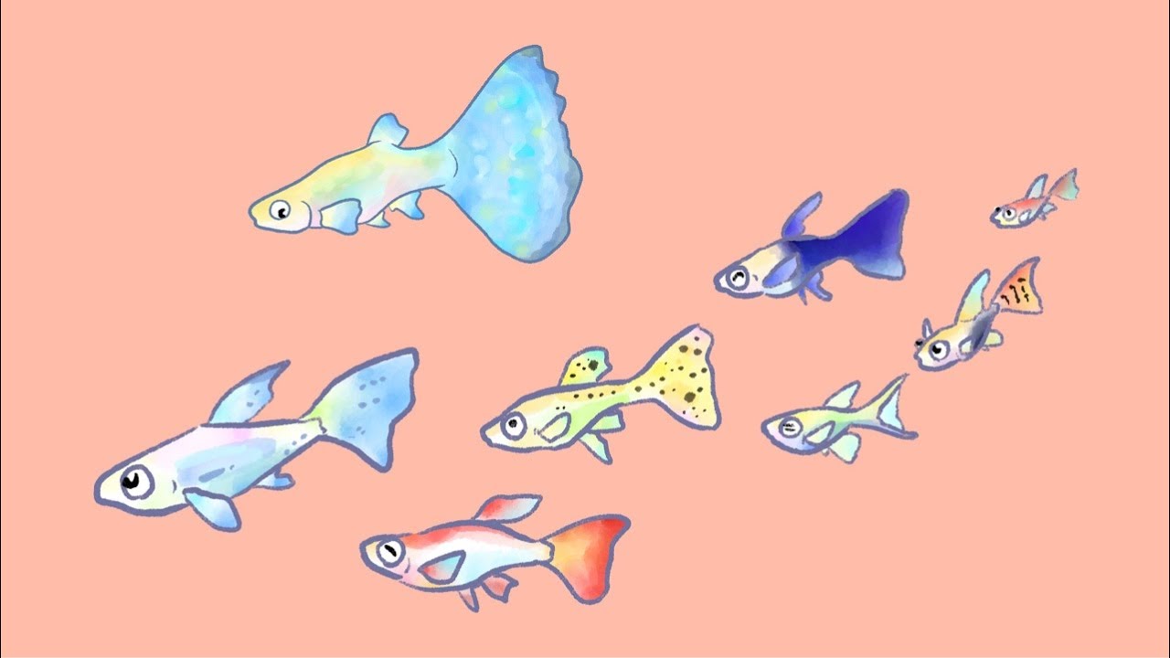 週末おさかな部】ぬりえテーマ「おうちで飼えるさかな」🎨🐟vol.117