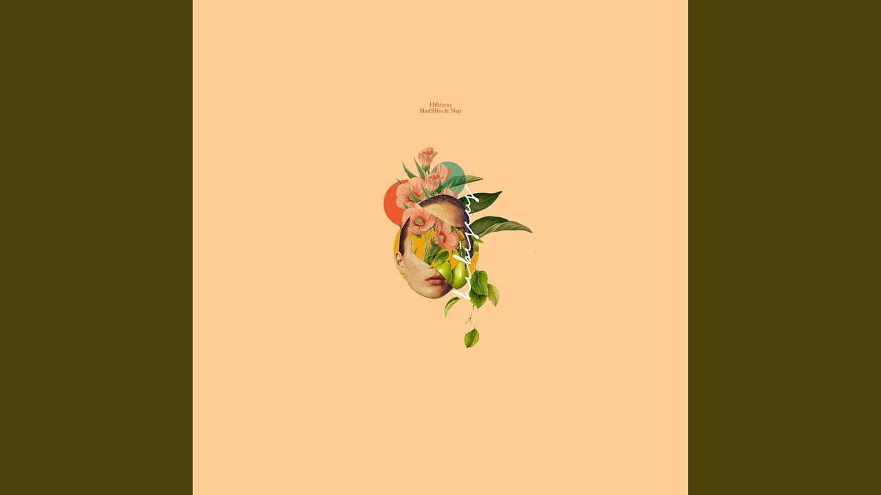 Hibiscus (feat. Naji)