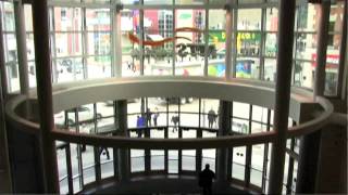 Mark Chipman recounts NHL return