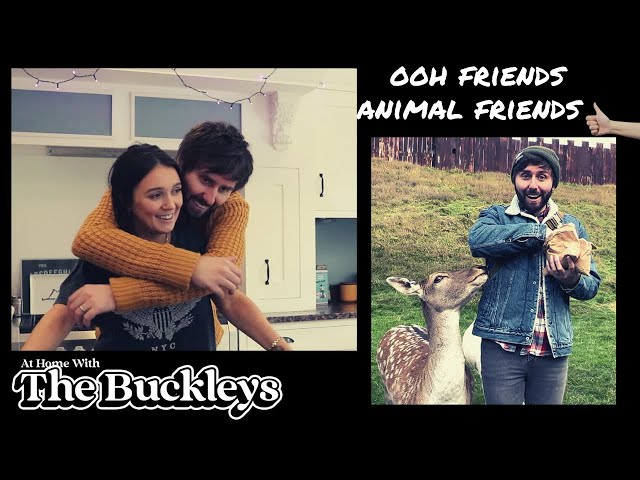 Animal Friends - A few of our favorite behind-the-scenes