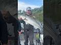 California stripers are FIRED UP right now 🔥🎣