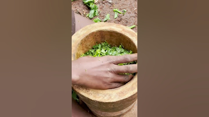 Vivir con los Pigmeos Baka. #reels #africa #culture