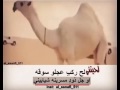 مسرينه شيابيني 
