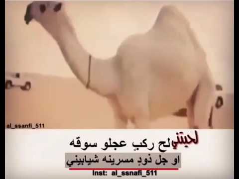مسرينه شيابيني