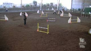 Jazz   Sat Novice JWW   Border Terrier Club of the Redwoods AKC Jan 2012