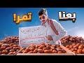 النهاية غير متوقعة Vlog3 