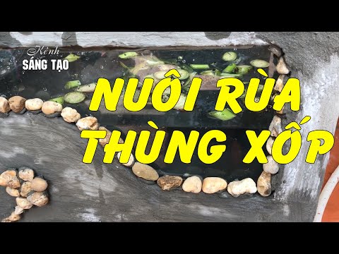 Video Tự làm bể nuôi Rùa bằng thùng xốp tráng xi măng đơn... - youtube