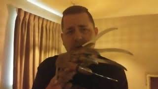 Should robert englund play freddy again