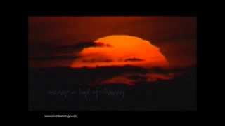 Wild Oman - Flora and Fauna of the Sultanate of Oman
