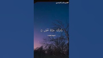 سورة المسد بصوت الشيخ ياسر الدوسري❤️❤️