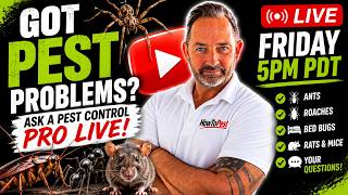 🔴 Ask a Pest Control Pro ANYTHING! | LIVE Q&A