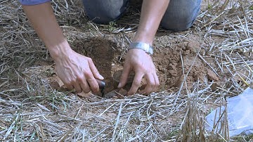 Soil Test 4 - How to measure bulk density