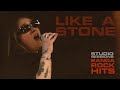 E25 Sessions: Like a Stone - Audioslave (Cover by Banda Rock Hits)
