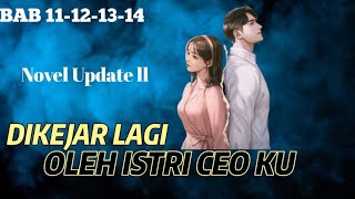 DIKEJAR LAGI OLEH ISTRI CEO KU | BAB 11-12-13-14