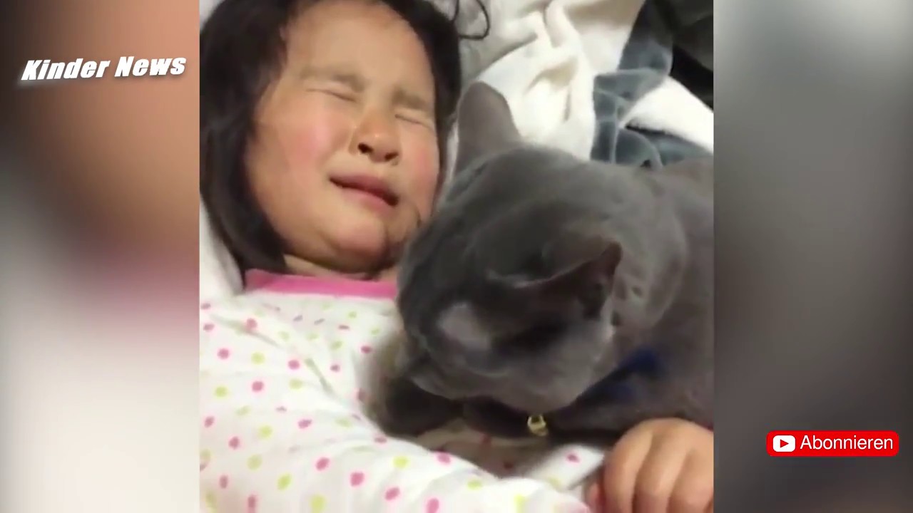 Katze tröstet weinendes Mädchen - Ihre Reaktion ist zu süß