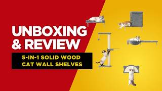 5-in-1 Cat Wall Shelves Review 🐾 Solid Wood Climbing System That Replaces Cat Trees!