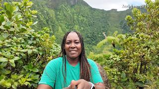 St Kitts & Nevis | Hiking Mt Liamuiga with Roger Ecotours
Hiking Mount Liamuiga in St. Kitts is a challenging but rewarding experience, known for its steep climbs, dense rainforest, and panoramic views of the island and surrounding Caribbean Sea. The hike, a moderate to strenuous effort, takes approximately 4-6 hours, and involves a total elevation gain of around 2,350 feet. While the trail is generally well-marked, a guide is recommended for a more enjoyable and informative experience, especially for those unfamiliar with the local flora and fauna
Key aspects of the hike:
Difficulty: Rated as moderate to strenuous, with steep climbs and rough terrain.
Time: Approximately 4-6 hours for a round trip.
Distance: About 4.5 miles (7km) round trip.
Elevation Gain: Around 2,350 feet (700m).
Trail Conditions: Expect muddy sections, large roots, and boulders.
Guide: Recommended for navigation and to learn about the local ecosystem.
Views: Breathtaking panoramic views from the summit, including the island and surrounding water St Kitts & Nevis | Hiking Mt Liamuiga with Roger Ecotours