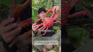 SURVIVAL ON A DESERT ISLAND | P1 | MINH QUAN REVIEW