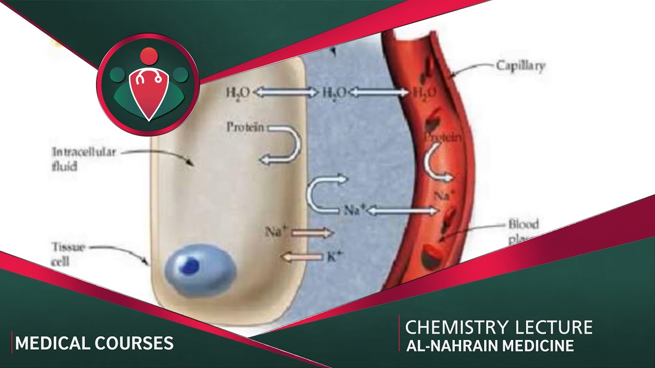 Chemistry Lecture 3 | ( النهرين )