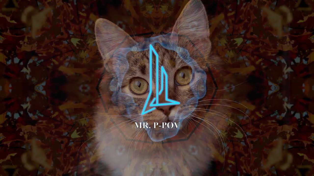 MR. P-POV | Tribal Pulse | Afro Tech House Experience