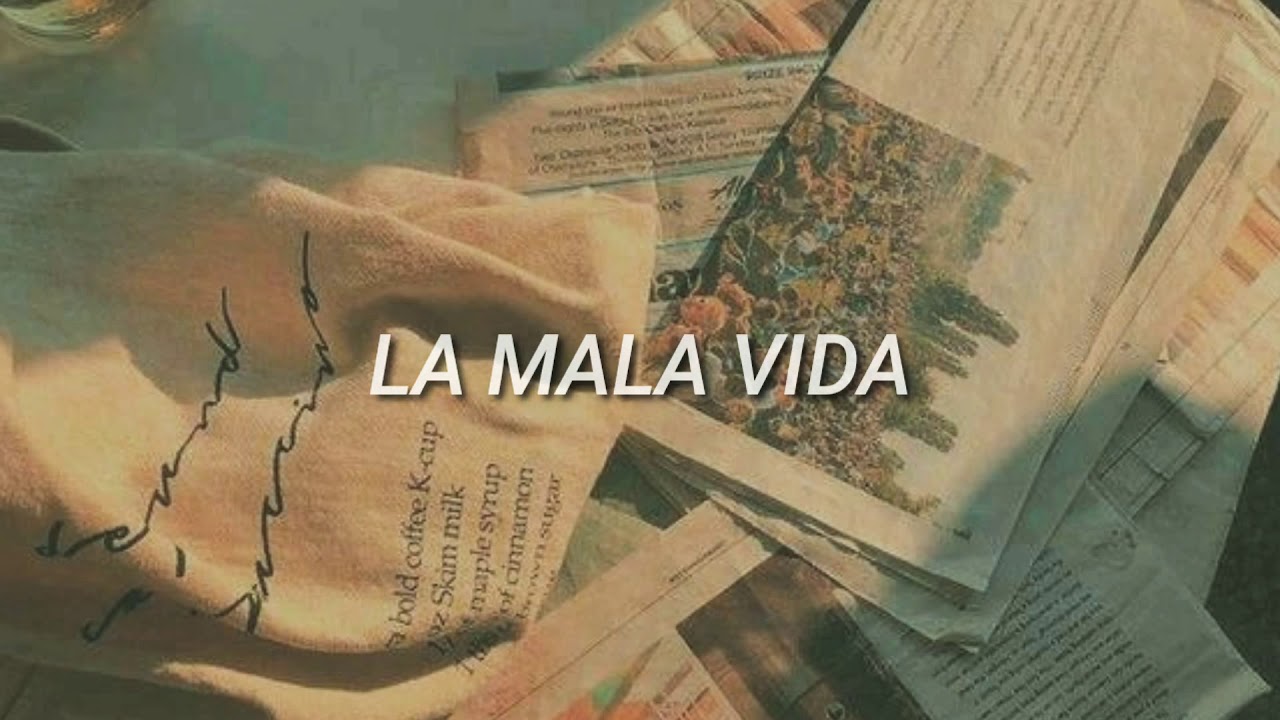 LA MALA VIDA// EME 15