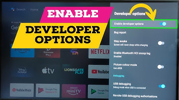 HISENSE Android TV : How to Enable Developer Options | Disable Developer Options