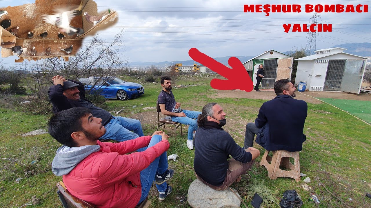 BOMBACI YALÇIN KÜMESLERİ SADECE ORİNK BANGO VE BANGO ÇEŞİTLERİ  YÜKSEK UÇUCU KUŞLAR