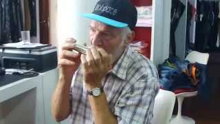 Gaita De Boca - Laurindo Tozeto