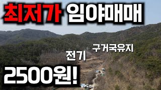 -재업-최저가 임야매매 평당2500원!~ ~송이능이채취~전체 임업경영체등록~구거국유지접 경북안동 임야매매 세상사는 부동산