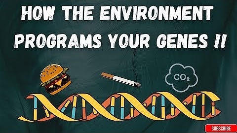 The Exposome: How the Environment Shapes Our Genes