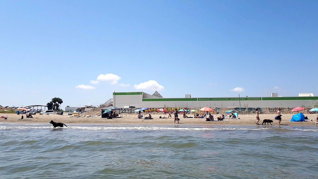 Playa para perros en Port Saplaya, zona sur. Alboraya, Valencia. 4K a 60FPS.