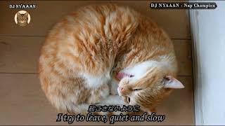 Dj Nyaaan  Nap Chdanion