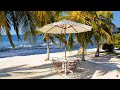 Outdoor Seaside Cafe Ambience & Bossa Nova Music☕ Outdoor Coffee Shop Sounds ASMR, Ocean Wave Sounds