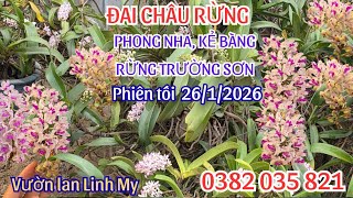 Đai Châu Rừng Buôn Đôn - E Sô - Phong Nha Kẻ Bàng. 0382 035 821