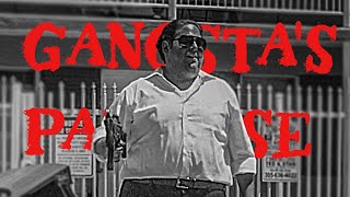 War Dogs - GANGSTA'S PARADISE - Jonah Hill - Edit