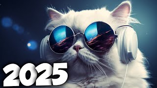 As Melhores Músicas Eletrônicas De 2025 Músicas Eletrônicas Na Balada Alok, David Guetta Mix