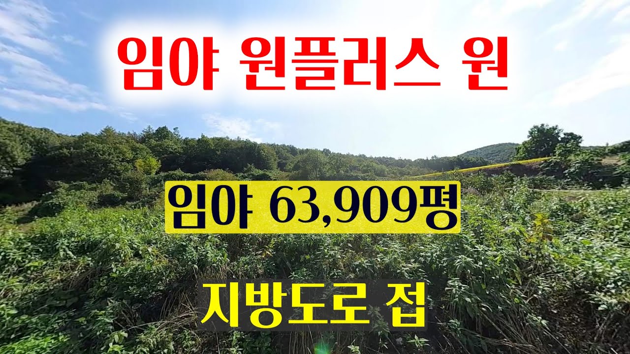 [1478][임야매매] 임야 1필지에 1필지 더 드립니다