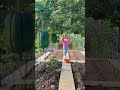 #farming #hindisong #yutubeshorts #viralvideo #viral #organicfarming #highlights #viral