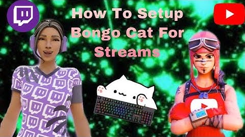 How To Set Up Bongo Cat V2 Cam for Streams(Streamlabs, OBS)