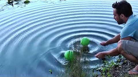 Giao thoa sóng nước - Water wave interference experiment