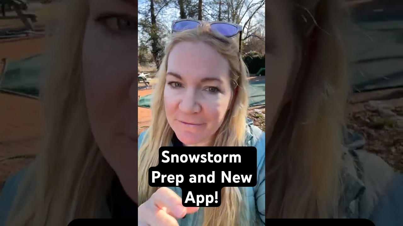 Snowstorm pending? It's here...Try my New Calm Money App--find it on my website--link in bio.