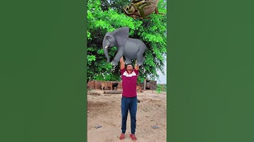 Moye Moye flying body parts matching vs elephant, frog funny vfx magic cute boy #shorts