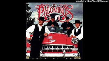 Los Palominos - Duele El Amor (1996)