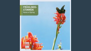 Voices Of Spring, Op. 410