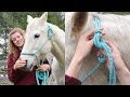 How to Put a Rope Halter On a Horse (Like a Professional)