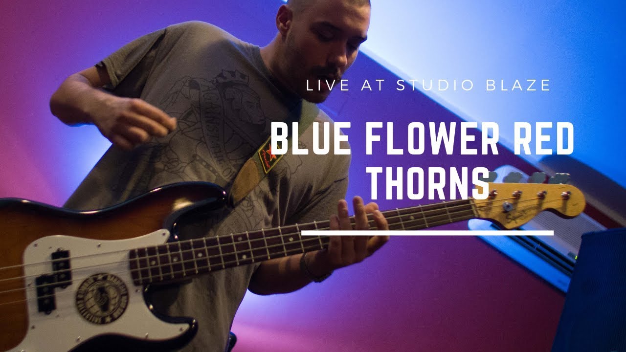 F.Y.N Blue Flower Red Thorns / LIVE YouTube