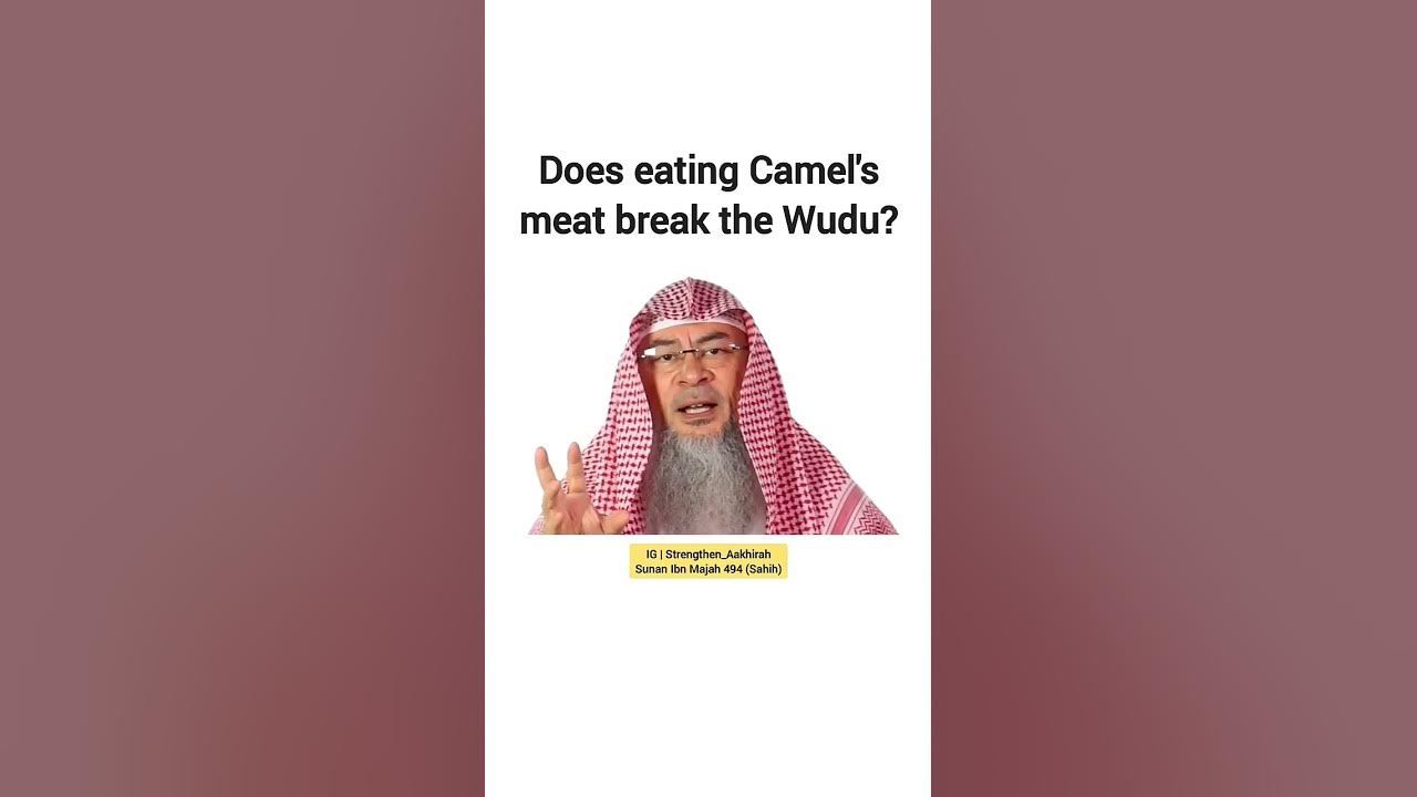 Does Eating Camel's Meat Break the Wudu?#shorts#ilm - YouTube